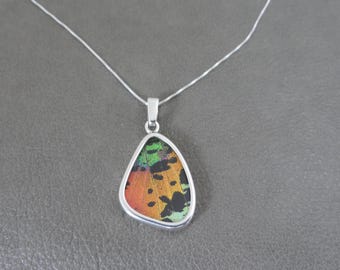 Real Butterfly Wing Necklace in Sterling Silver, Butterfly Wing Pendant, Butterfly Necklace, Boho Necklace, Real Butterfly Jewelry
