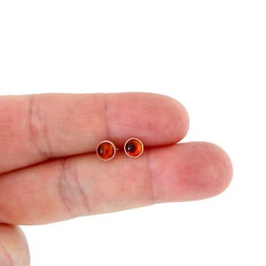 May include: A pair of small, round amber stud earrings with silver settings. The earrings are shown on a finger.
