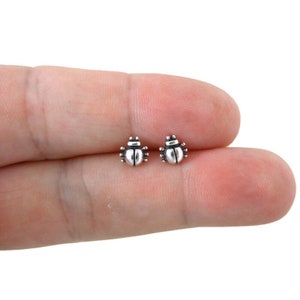 Beetle Earrings in Sterling Silver, Beetle Earrings, Beetle Bug Studs, Insect Studs, Silver Insect Earrings,Dainty Earrings