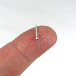 Op de afbeelding: Een zilveren neuspiercing met een kleine blauwe edelsteen.