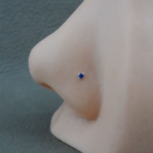 Op de afbeelding: Een close-up van een zilveren neuspiercing met een kleine, donkerblauwe edelsteen.