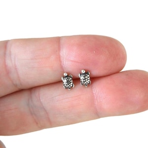 May include: A pair of tiny, silver turtle stud earrings. Each earring features a textured shell design and a small head. The earrings are shown against a light background.