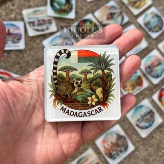 Calamita Frigorifero Personalizzata Con Scritta Crazy Seagull Lady | Vetro Di Alta Qualità 7x5 Cm | Regalo Unico E Simpatico