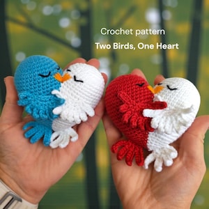 Può includere: Modello all'uncinetto con due uccelli a forma di cuore. Una coppia è blu e bianca, l'altra rossa e bianca. Gli uccelli si baciano, con becchi arancioni, e il testo "Two Birds, One Heart" è visibile.