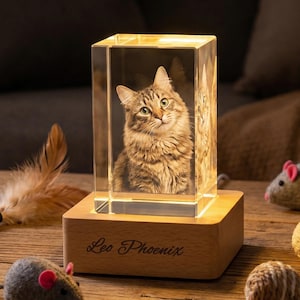 Personalized 3D Crystal Photo Portrait with LED Light Base,Custom Engraved Crystal Picture,Pet Memorial Gift for Dog Cat,Anniversary Gift