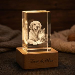 Personalized Rectangle Crystal Photo with LED Light Base, Custom Engraved Pet Photo Portrait, Dog Cat Memorial Gift, Anniversary Gift