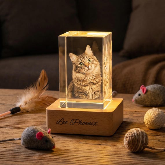 Personalized 3D Crystal Photo Portrait with LED Light Base,Custom Engraved Crystal Picture,Pet Memorial Gift for Dog Cat,Anniversary Gift