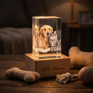K&ouml;nnte beinhalten: Ein klarer, rechteckiger Kristallblock mit einem 3D-Bild eines Golden Retrievers und einer getigerten Katze, von unten beleuchtet. Der Block steht auf einem Holzsockel mit dem eingravierten Namen "Ella Vance". Ein Hundeknochen und ein Ball mit Seil sind im Vordergrund.