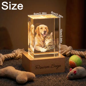K&ouml;nnte beinhalten: Ein rechteckiger Kristallblock, 10 cm hoch und 6 cm breit, mit einem Foto eines Golden Retrievers und einer getigerten Katze. Der Block steht auf einem Holzsockel mit dem eingravierten Namen "Rowan Sage". Die Abmessungen sind auch in Zoll angegeben.