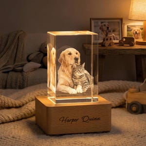 K&ouml;nnte beinhalten: Ein beleuchteter Kristallblock mit einem Golden Retriever und einer getigerten Katze. Der Block steht auf einem Holzsockel mit dem eingravierten Text "Harper Quinn". Die Innenbeleuchtung erzeugt ein warmes Leuchten.