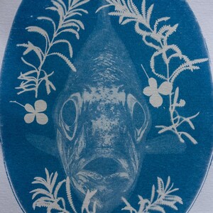 May include: A blue oval print depicting a fish head at the centre, encircled by white botanical illustrations. The fish is detailed with visible scales and facial features. The botanical elements include fern-like leaves and four-leaf clovers.
