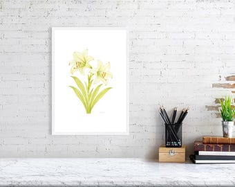 Lys of Gentle Light – Collection botanique poétique | Impression botanique élégante de lys blancs | Art mural floral doux. Porcelaine Blanc Broyé