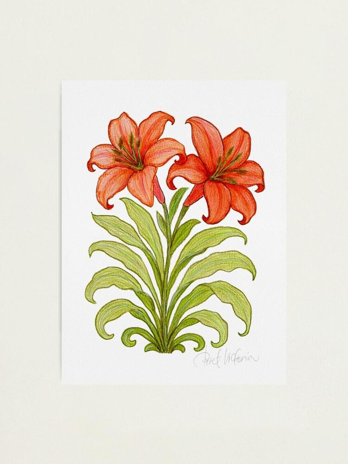 Classical Mini Art Print Set – 4 Signed A5 Prints – Botanical, Sacred ...