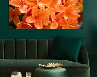 Ixora tropical en fleurs, impression encadrée A2, art mural botanique orange, photographie florale prête à accrocher, décoration moderne