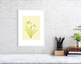 Lily of Gentle Light – Collection Rêverie botanique | Impression botanique élégante de lys blancs | Art mural floral doux. Fond jaune doux vintage