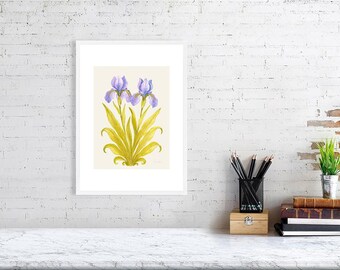 Iris de lumière douce – Collection Rêverie botanique | Impression botanique iris violet | Décoration murale florale Cottagecore élégante - Base en lin antique