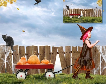 Fun Halloween Digital Background Magical Fall Photoshop Backdrop Template