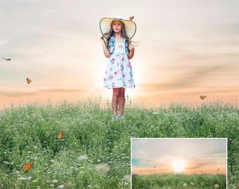 Magical Butterfly Field Photoshop Background Sunset Summer Digital Backdrop Easy Drop-In  Photo Editing Template
