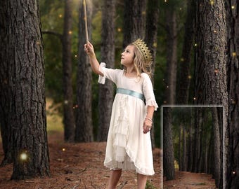 Firefly Forest Digital Background Enchanted Photography Backdrop JPEG Download