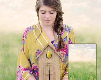 Summer Butterfly Field Digital Backdrop: Dreamy Photo Composite PSD + JPG Files