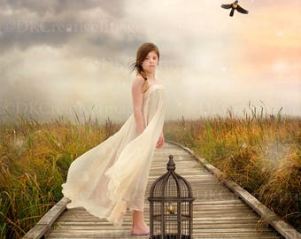 Dreamy Coastal Boardwalk Background Beach Digital Backdrop Photoshop Template for Portraits & Greeting Cards