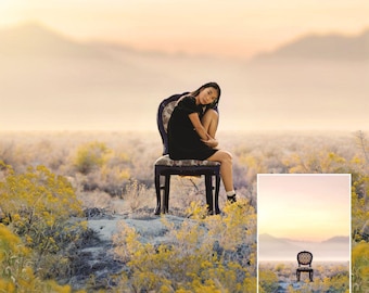 Retro Vintage Chair Yellow Wildflowers Sunset Digital Background Moody Desert Scene Composite Backdrop Template