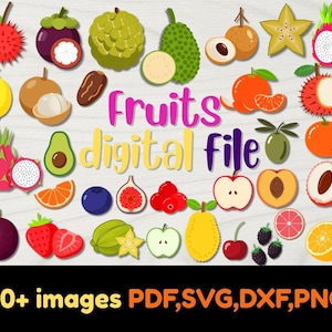 Tropische Früchte, Sommerfrüchte, tropische Früchte Pngs, digitaler Download, Kirsche, Papaya, Wassermelone, Banane, Aprikose svg,