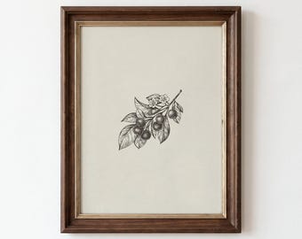 Berry Branch Sketch Print, Vintage Botanical Illustration, Farmhouse Chic Cozy Wall Decor (Digital Printable Download)