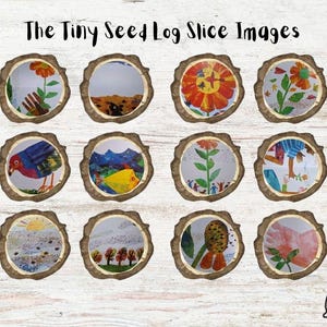 Peut inclure: Douze tranches de bois rondes avec des illustrations colorées du livre "La Petite Graine" d'Eric Carle. Les illustrations comprennent un oiseau, une fleur, une graine et un arbre.