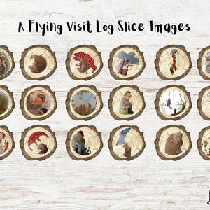 May include: A set of 16 illustrated images of a log slice with various scenes, including a hedgehog, a squirrel, a bird, and a mushroom. The images are in a circle on a white wooden background. The text "A Flying Visit Log Slice Images" is at the top of the image.
