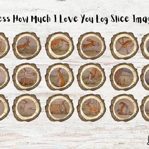 May include: A set of log slice images with illustrations of rabbits in different scenes. Each image is circular, framed by wood, and depicts scenes from the book "Guess How Much I Love You". The text "Guess How Much I Love You Log Slice Images" is displayed above the images.