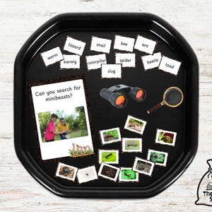 May include: A black plastic tray with a black chalkboard surface. The tray contains a set of mini-beast themed learning cards with words like "snail", "bee", "ant", "spider", "beetle", "slug", "worm", "lizard", "earwig", and "caterpillar". There is also a card that says "Can you search for minibeasts?" and a picture of two children looking for minibeasts. The tray also includes a magnifying glass, binoculars, and a set of mini-beast picture cards.