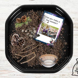 May include: Black plastic tray filled with dirt, pine cones, sticks, and rocks. A card with the text "Can you make a bog monster?" is on top of the dirt. A clear glass bowl is in the tray.