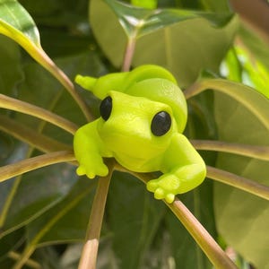 3D Printed Lizard | Baby Lizard | Articulated Lizard | Fidget Toy