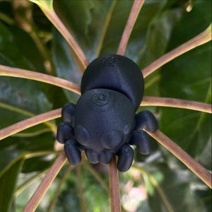 3D Printed Spider | Baby Spider | Articulated Spider | Fidget Toy