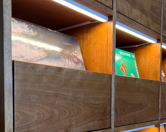 LED Lighting Strip Add-On | Custom Handcrafted Record Cabinet Illumination