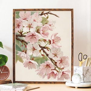 canva ai degitai art template sakura6 cherry blossom art Antique Sakura Tree Vintage Japanese Wall Art Antique Sakura Tree
