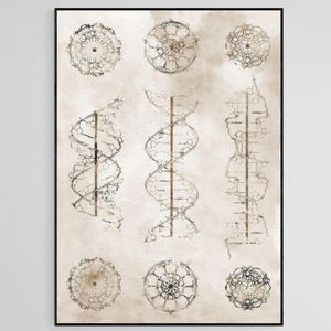 DNA Poster: Genetic Code Science Print - Home Wall Decor (Digital Download A0-A5 JPG File)