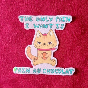 Sticker mignon "Chat The only pain I want is Pain au chocolat" | Sticker holographique | Illustration drôle