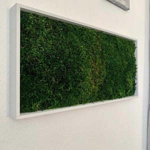 Forest moss picture moss picture mural wall decoration preserved moss