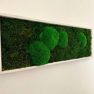Moss picture 20 x 60 cm wall picture nature picture wall decoration ball moss vertical garden gift moss pictures