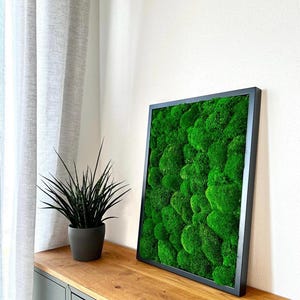 Moss picture with preserved ball moss flat moss mural wall design