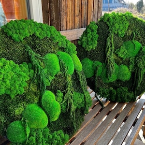 Round moss picture acoustic picture vertical garden wall hanging mural ball moss