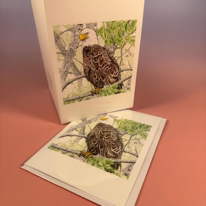 Eagle in Nyanza – Carte d'art du Cap-Breton 5 x 7 | Carte de voeux de faune de la Nouvelle-Écosse | Illustration à l'encre de pygargue à tête blanche