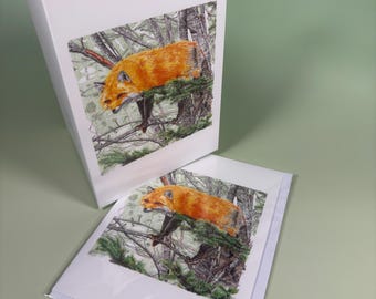 Fox of Shubenacadie – 5x7 Nova Scotia Wildlife Art Card | Canadian Fox Greeting Card | Fine Art Ink Illustration