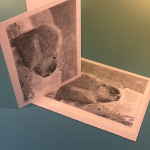 Beaver at Two Rivers – 5x7 Cape Breton Art Card | Nova Scotia Wildlife Greeting Card | Canadian Animal Illustration