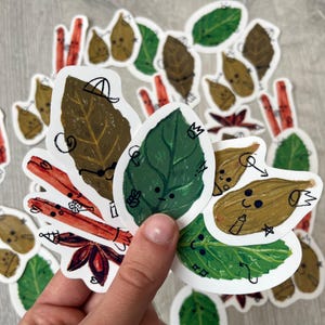 Pack de pegatinas picantes geniales / Calcomanías impermeables de alta calidad, perfectas para portátiles y botellas de agua. Incluye 6 diseños.