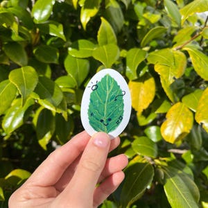 Adesivo foglia di menta / Arte fantastica per laptop, bottiglie d'acqua, diari e altro / Adesivo impermeabile estetico per spezie per buongustai e amanti delle piante