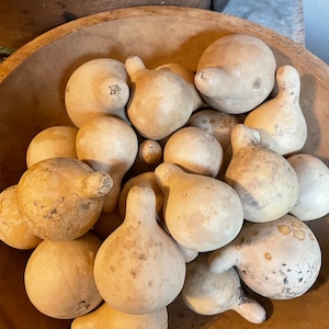 Primitive Dried Mini Spinner Gourd Bowl Fillers Bag of 10/20/30