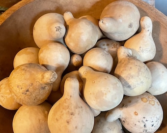 Primitive Dried Mini Spinner Gourd Bowl Fillers Bag of 10/20/30